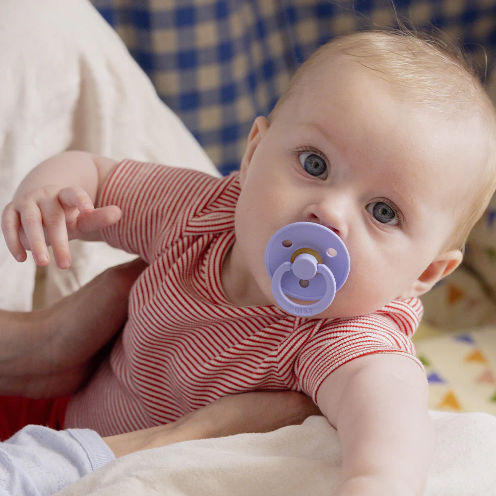 BIBS Colour Fopspeen Round | Hush & Grape | Maat 2 | 6+ maanden | 2-pack